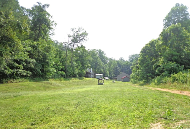 1342 Russell Creek Rd, Lobelville, TN 37097 - view of grassy yard with an outdoor structure