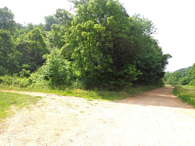 1342 Russell Creek Rd, Lobelville, TN 37097 - view of dirt / gravel road with a wooded view