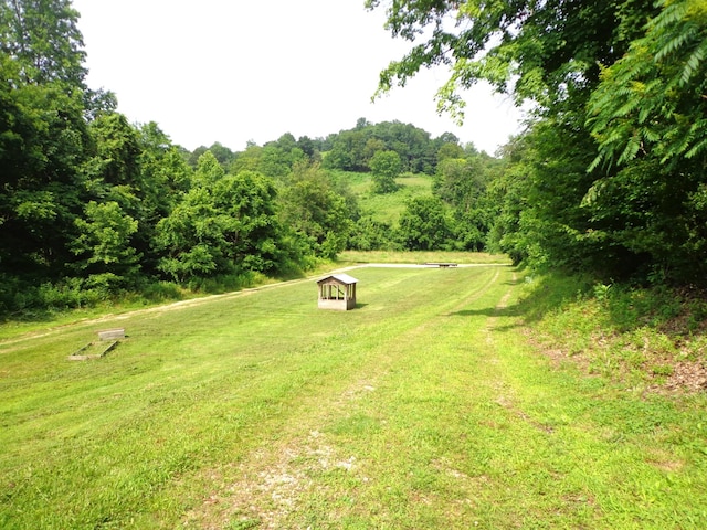1342 Russell Creek Rd, Lobelville, TN 37097 - view of green lawn