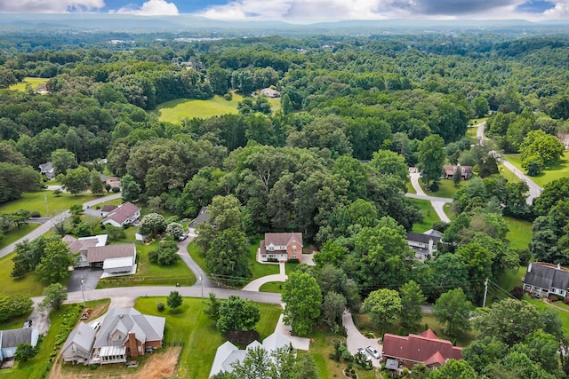 237 Windsor Dr, Cookeville, TN 38506 - aerial perspective of suburban area featuring a forest