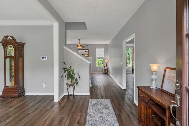 147 N Shadowhaven Way, Hendersonville, TN 37075 - entryway featuring wood finished floors, a ceiling fan, stairway, and ornamental molding