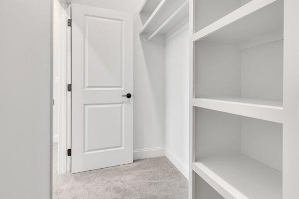 179 Charleston Ave, Pleasant View, TN 37146 - spacious closet featuring light colored carpet