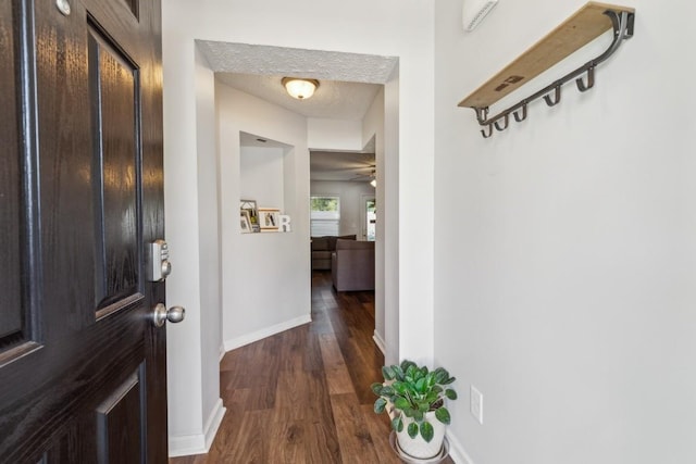 2058 Caladonia Way, Smyrna, TN 37167 - entrance foyer featuring dark wood-type flooring and baseboards