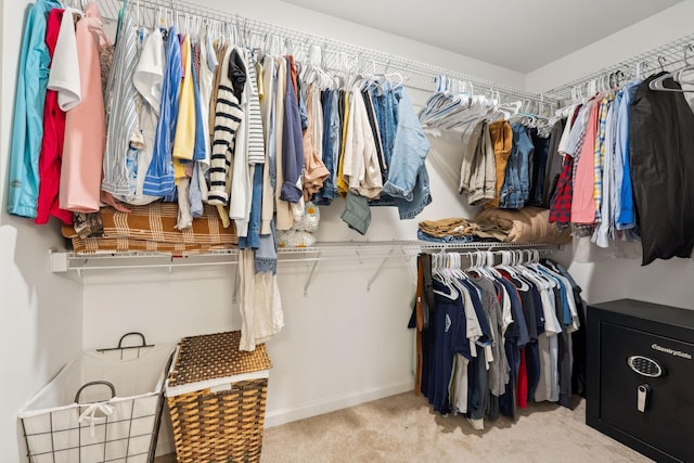 717 Monarchos Bnd, Burns, TN 37029 - spacious closet with carpet