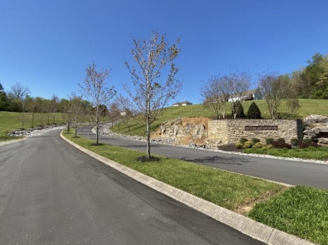 717 Monarchos Bnd, Burns, TN 37029 - view of asphalt road