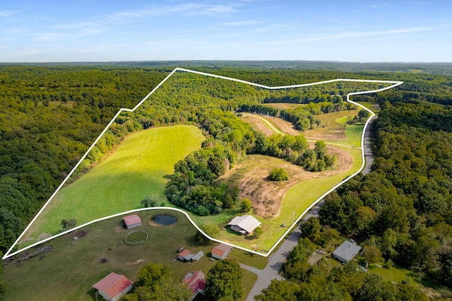 7909 Shoals Branch Rd, Primm Springs, TN 38476 - view of property location with a forest and property boundaries highlighted