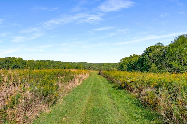 7909 Shoals Branch Rd, Primm Springs, TN 38476 - view of wooded area