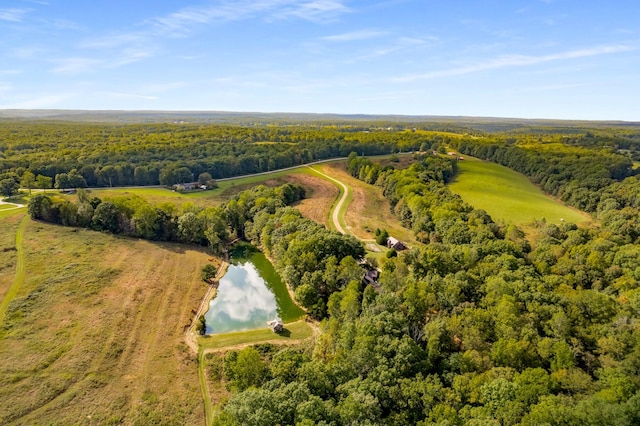 7909 Shoals Branch Rd, Primm Springs, TN 38476 - aerial view of a forest and a large body of water