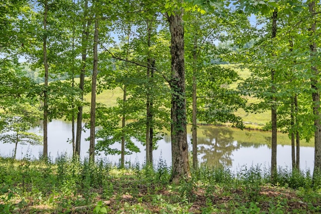 7909 Shoals Branch Rd, Primm Springs, TN 38476 - water view