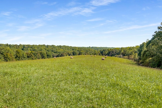 7909 Shoals Branch Rd, Primm Springs, TN 38476 - view of yard featuring a forest view and a rural view