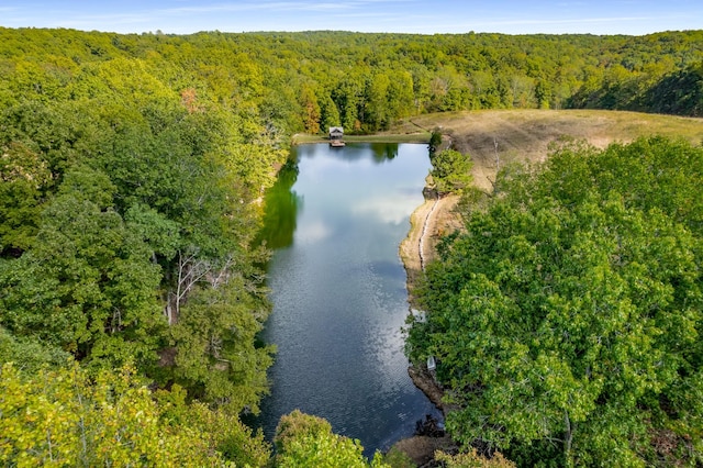 7909 Shoals Branch Rd, Primm Springs, TN 38476 - aerial view of a heavily wooded area and a large body of water