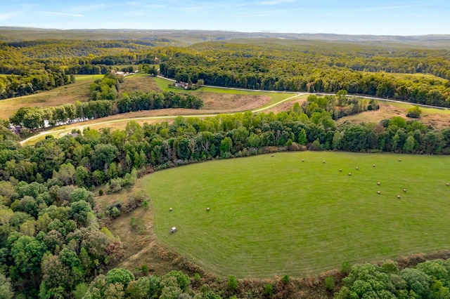 7909 Shoals Branch Rd, Primm Springs, TN 38476 - aerial view of a heavily wooded area
