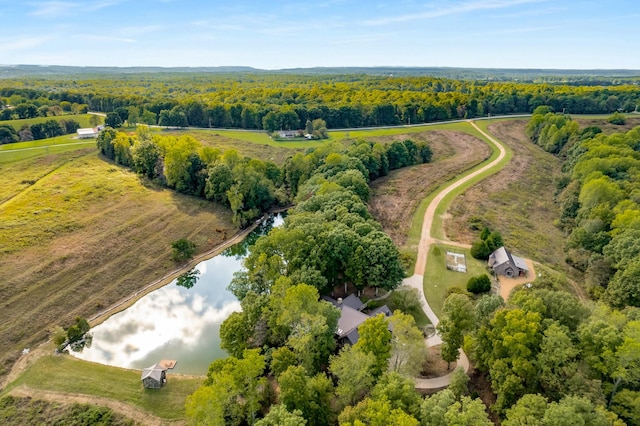 7909 Shoals Branch Rd, Primm Springs, TN 38476 - aerial view of a heavily wooded area and a large body of water