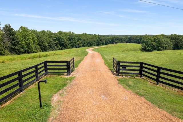7909 Shoals Branch Rd, Primm Springs, TN 38476 - gate with a rural view
