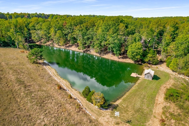 7909 Shoals Branch Rd, Primm Springs, TN 38476 - bird's eye view of a nearby body of water and a forest