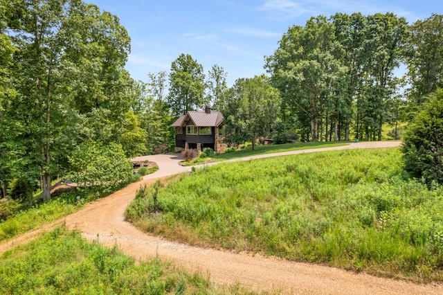 7909 Shoals Branch Rd, Primm Springs, TN 38476 - view of property's community with driveway