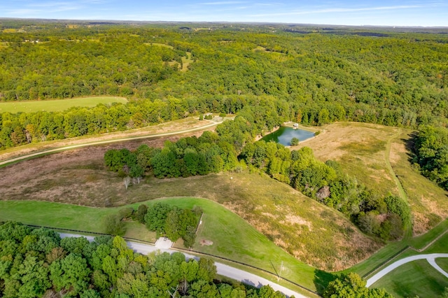 7909 Shoals Branch Rd, Primm Springs, TN 38476 - aerial view of property's location featuring a forest and a nearby body of water