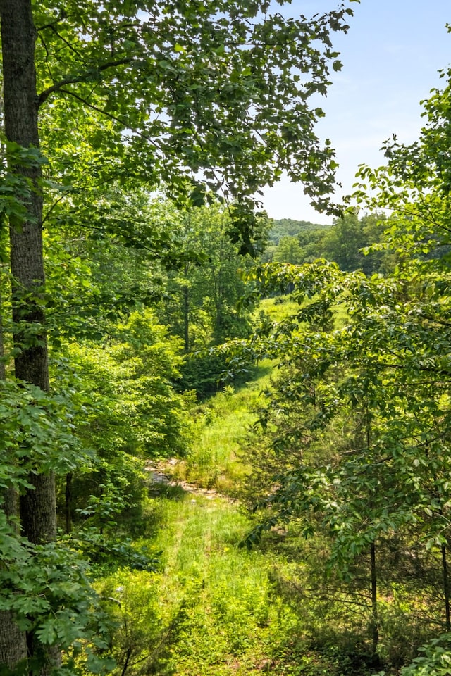 7909 Shoals Branch Rd, Primm Springs, TN 38476 - view of tree filled area