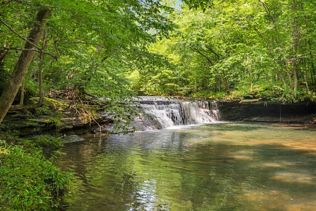 7909 Shoals Branch Rd, Primm Springs, TN 38476 - water view featuring a heavily wooded area