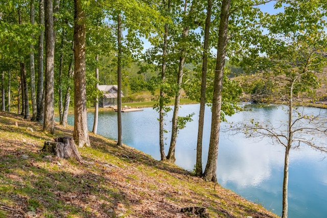 7909 Shoals Branch Rd, Primm Springs, TN 38476 - water view