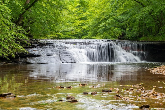 7909 Shoals Branch Rd, Primm Springs, TN 38476 - water view with a forest