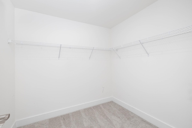 6055 Gracious Dr, Franklin, TN 37064 - spacious closet featuring carpet