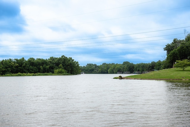 4295 Cairo Bend Rd, Lebanon, TN 37087 - water view