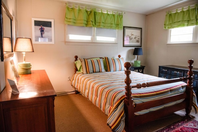 4295 Cairo Bend Rd, Lebanon, TN 37087 - view of carpeted bedroom