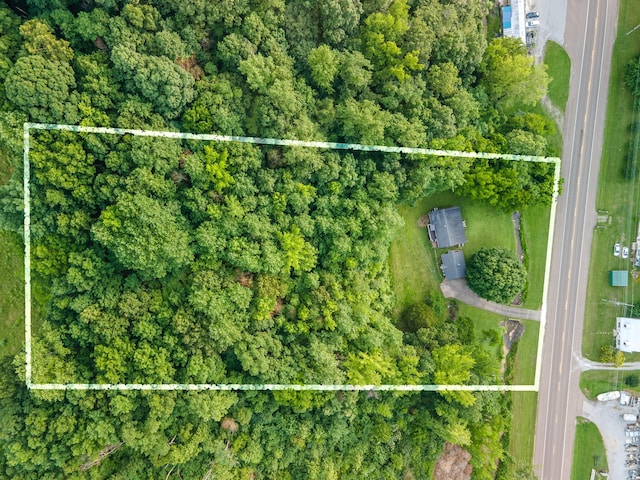 5719 Minor Hill Hwy, Goodspring, TN 38460 - view of property location with property boundaries highlighted