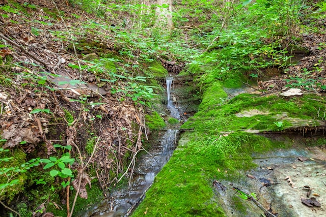 5719 Minor Hill Hwy, Goodspring, TN 38460 - view of local wilderness
