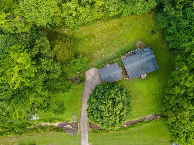 5719 Minor Hill Hwy, Goodspring, TN 38460 - aerial view