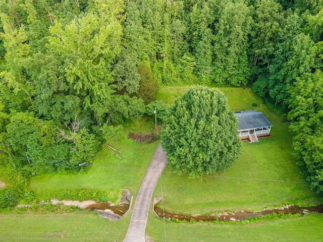 5719 Minor Hill Hwy, Goodspring, TN 38460 - aerial view