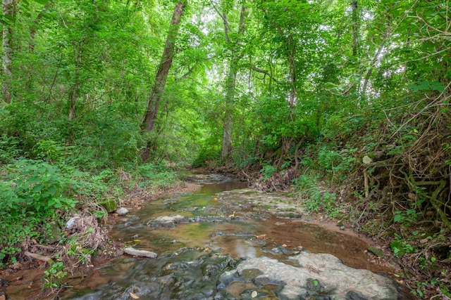 5719 Minor Hill Hwy, Goodspring, TN 38460 - view of woods