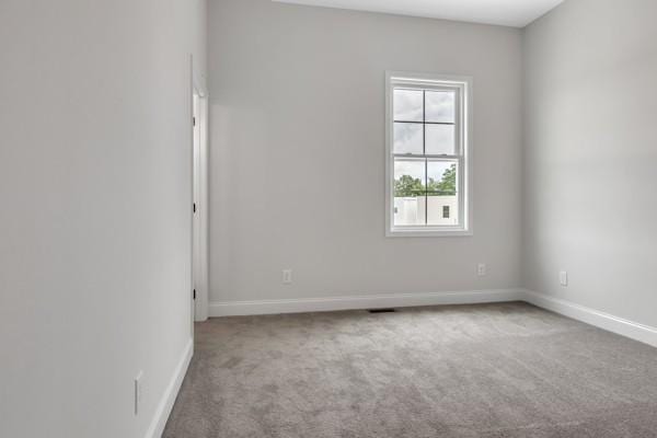 187 Charleston Ave, Pleasant View, TN 37146 - carpeted spare room with baseboards