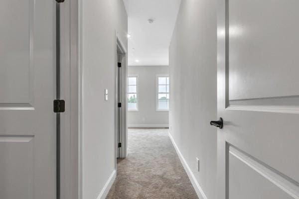 187 Charleston Ave, Pleasant View, TN 37146 - hall featuring carpet floors and baseboards