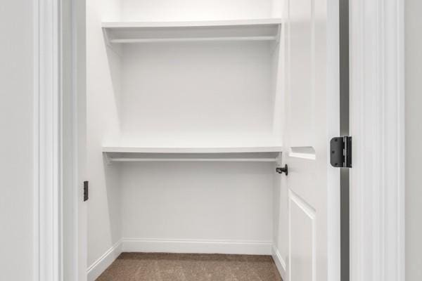 187 Charleston Ave, Pleasant View, TN 37146 - view of closet