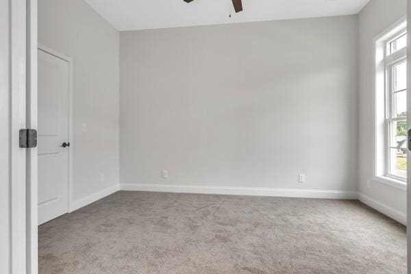 187 Charleston Ave, Pleasant View, TN 37146 - spare room with carpet, ceiling fan, and plenty of natural light