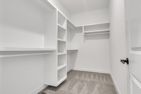187 Charleston Ave, Pleasant View, TN 37146 - spacious closet featuring carpet floors