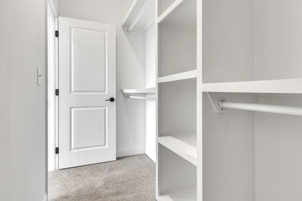 191 Charleston Ave, Pleasant View, TN 37146 - spacious closet featuring carpet
