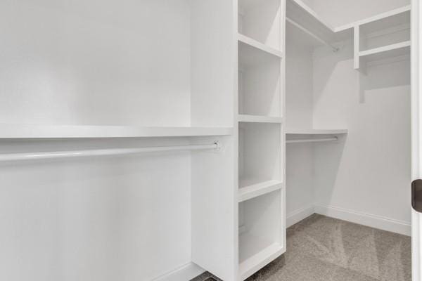 191 Charleston Ave, Pleasant View, TN 37146 - spacious closet with carpet flooring