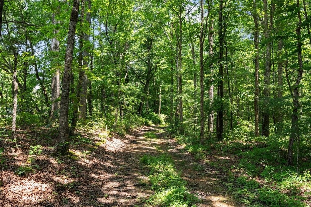 0 Turkey Creek Rd, Waverly, TN 37185