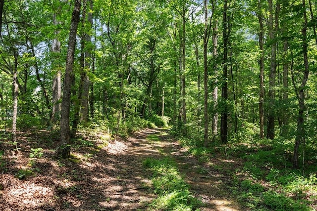 0 Turkey Creek Rd, Waverly, TN 37185