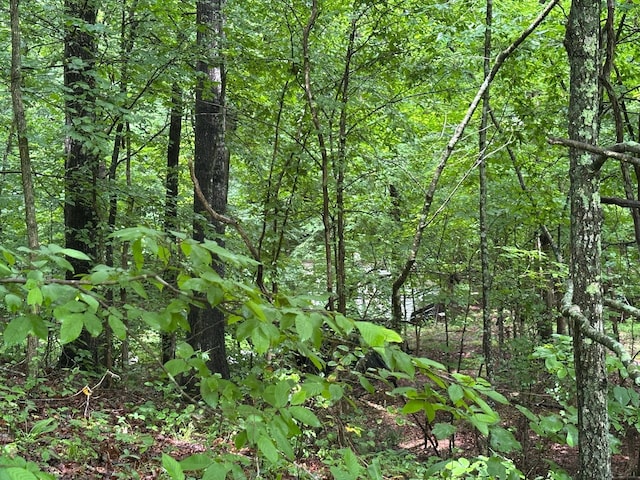 0 Carlisle Rd, Dover, TN 37058
