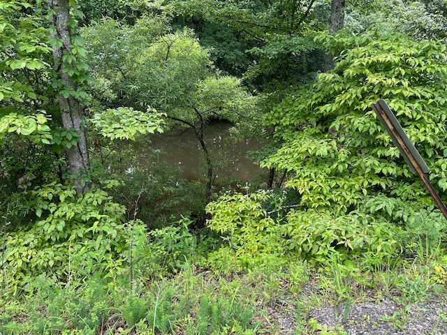 0 Carlisle Rd, Dover, TN 37058