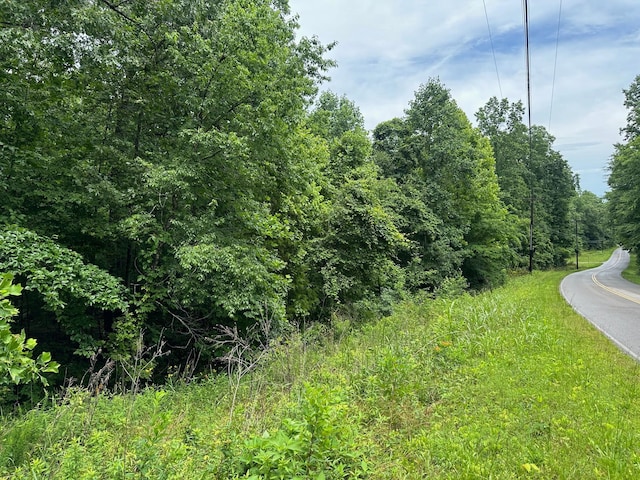 0 Carlisle Rd, Dover, TN 37058