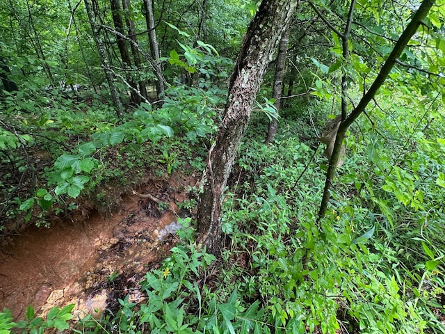 0 Carlisle Rd, Dover, TN 37058