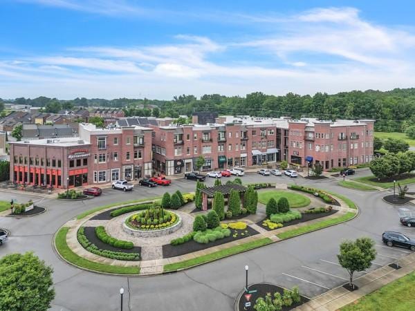 199 Charleston Ave, Pleasant View, TN 37146 - aerial view