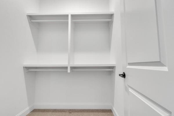 199 Charleston Ave, Pleasant View, TN 37146 - view of closet