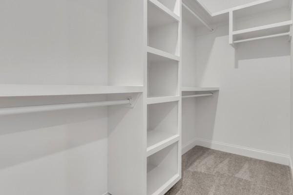 199 Charleston Ave, Pleasant View, TN 37146 - spacious closet with carpet flooring
