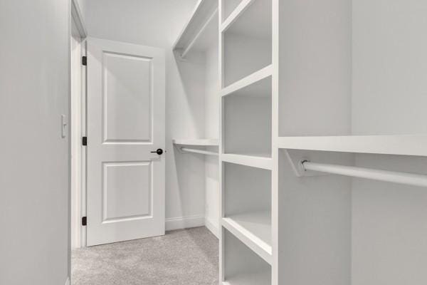 199 Charleston Ave, Pleasant View, TN 37146 - walk in closet with carpet floors